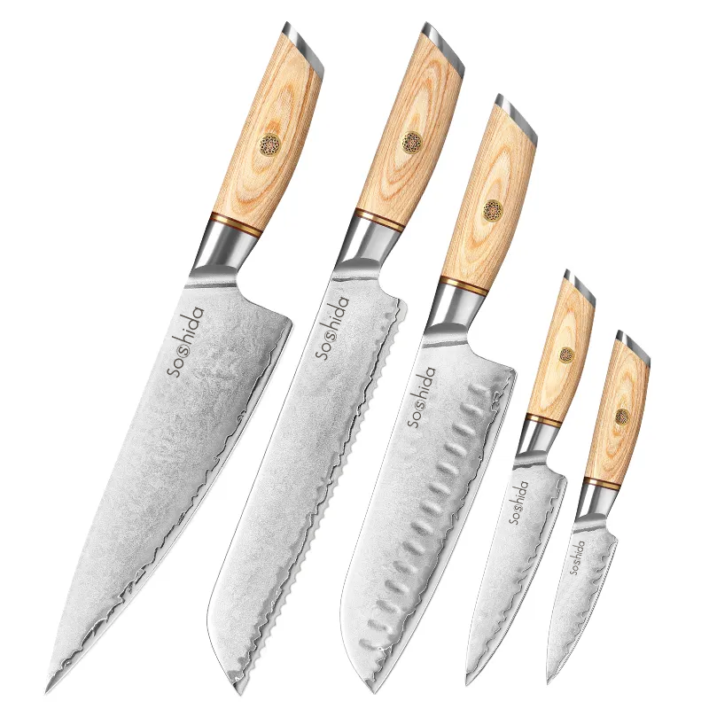 Professional 5 Piece Chef Knife Set & Magnetic Block