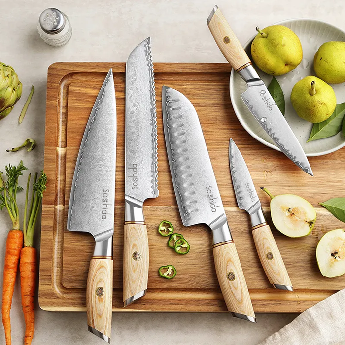 Professional 5 Piece Chef Knife Set & Magnetic Block