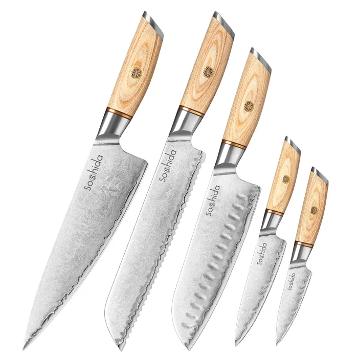 Soshida Professional 5 Piece Chef Knife Set